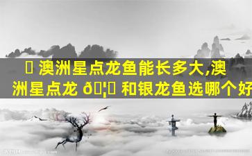 ☘ 澳洲星点龙鱼能长多大,澳洲星点龙 🦆 和银龙鱼选哪个好